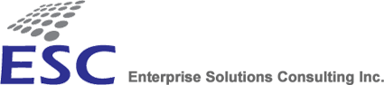 Enterprise Solutions Consulting